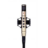 SENNHEISER　MKH 800 P48同期话筒